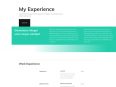 professional-cv-experience-page-116x87.jpg